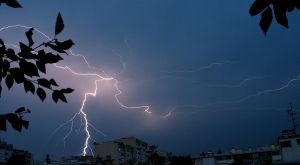 Emmanuel Boutet Own work, copyleft: Multi-license with GFDL and Creative Commons CC-BY-SA-2.5 and older versions (2.0 and 1.0) via Wikimedia Commons