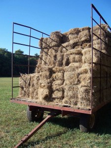 Via Flickr, WyldWoods "Takes me back... Throwing and stacking the bails of hay on the trailer. Did it for a few years in my early teens."