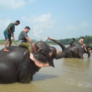 Chitwan National Park on the border of Nepal and India